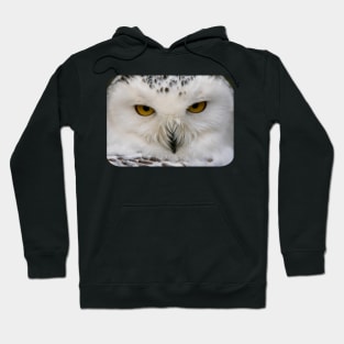 Snowy Owl Hoodie